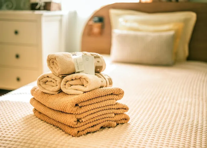 Tomovi - Three Bedrooms Center 아파트 플로브디프